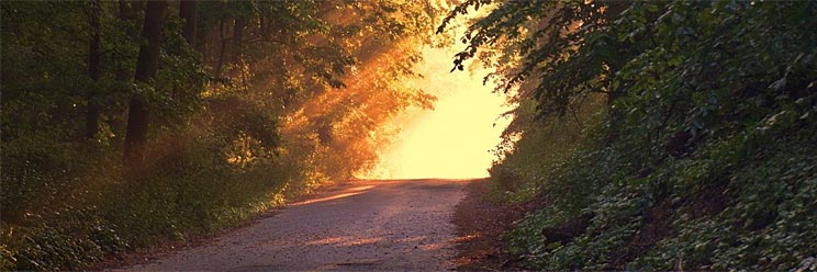 Chemin vers le mieux-être